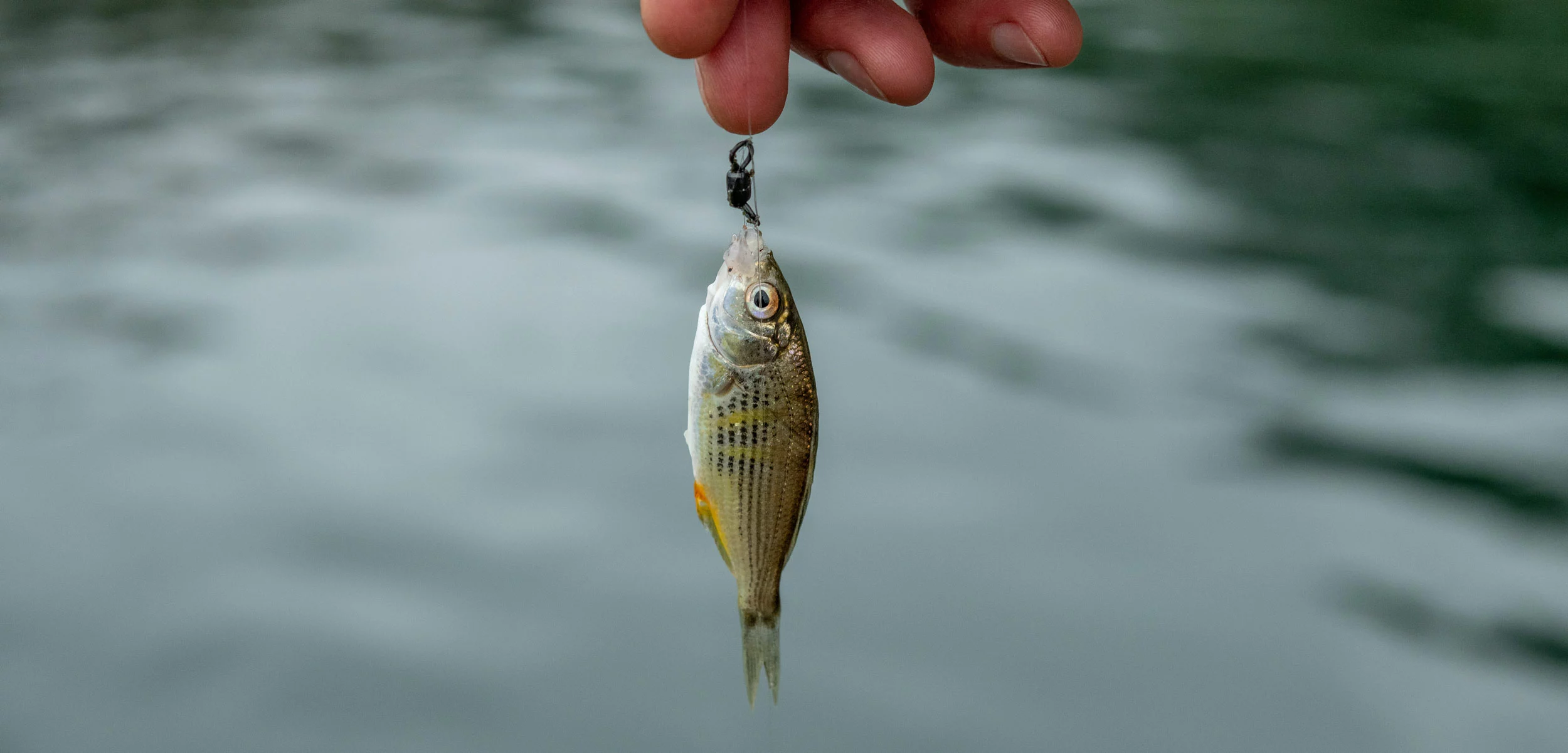 Klein Materiaal Winkel -Klein Materiaal Winkel 31